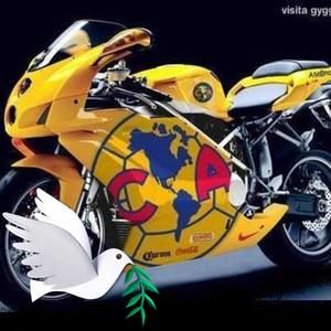 Meet your Posher, Elpidio